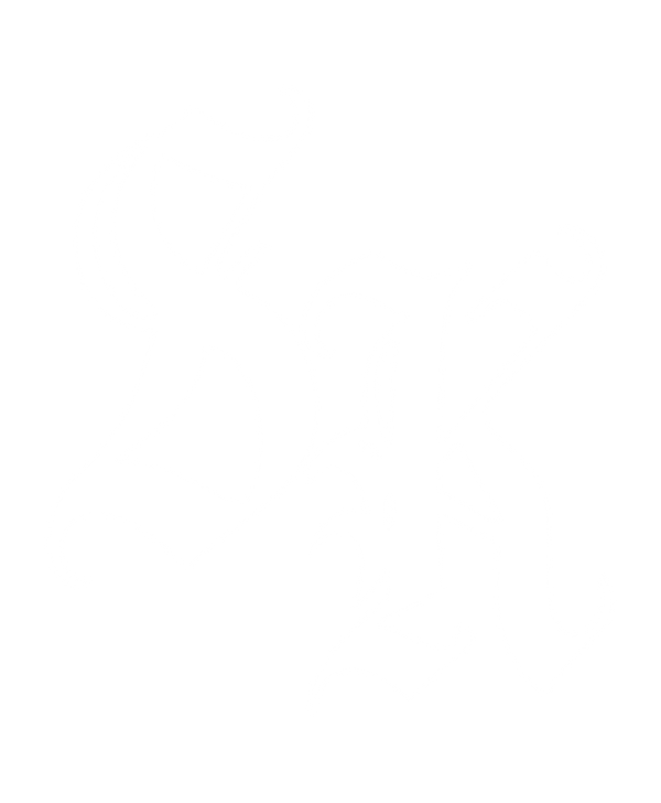 Silent King
